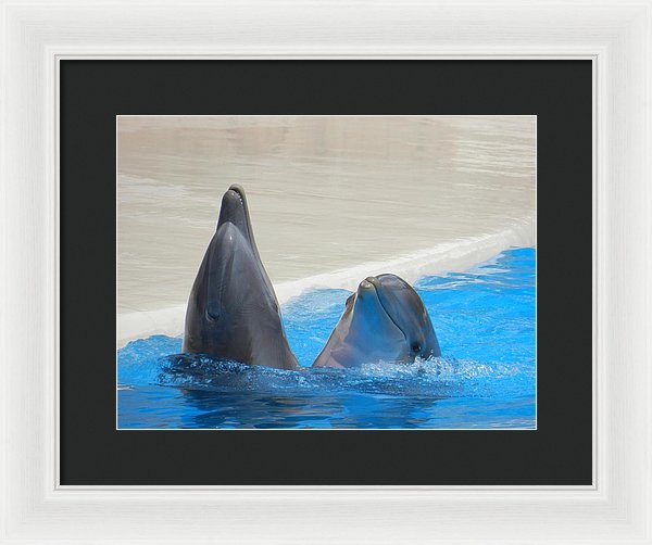 When Dolphins Dance - Framed Print
