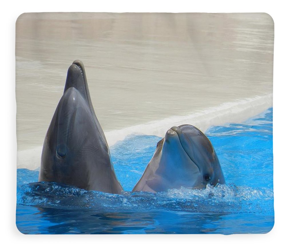 When Dolphins Dance - Blanket