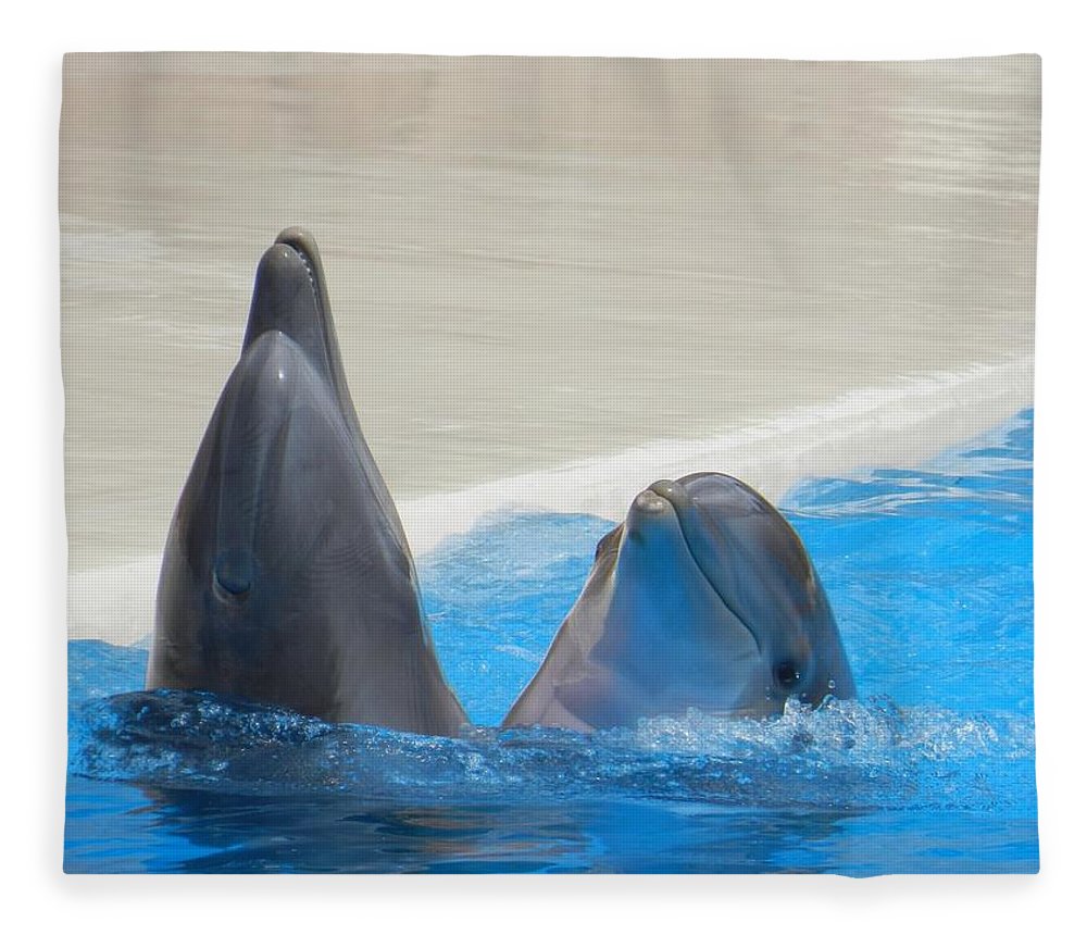 When Dolphins Dance - Blanket