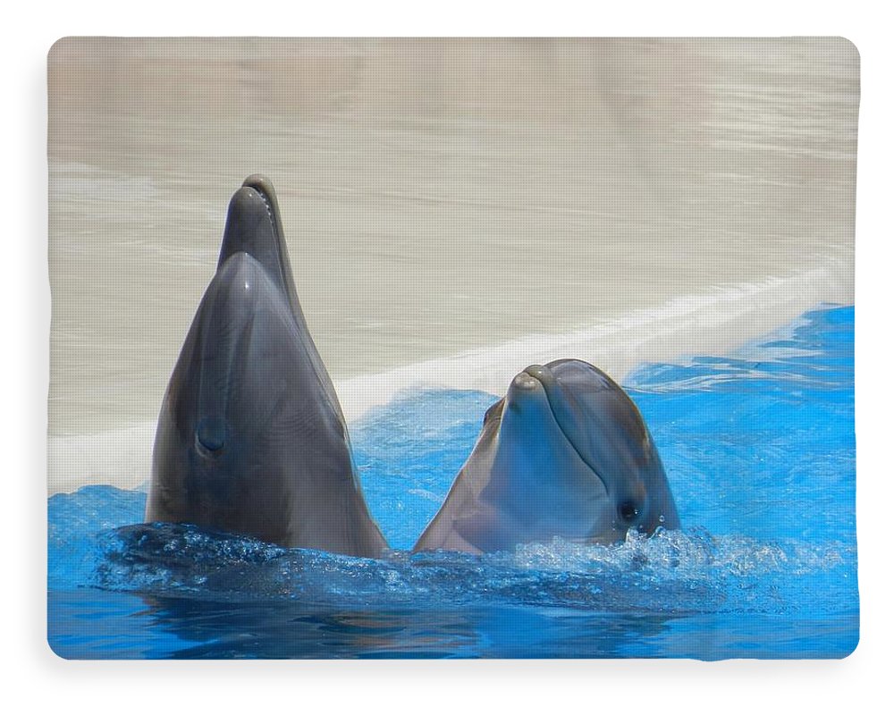 When Dolphins Dance - Blanket