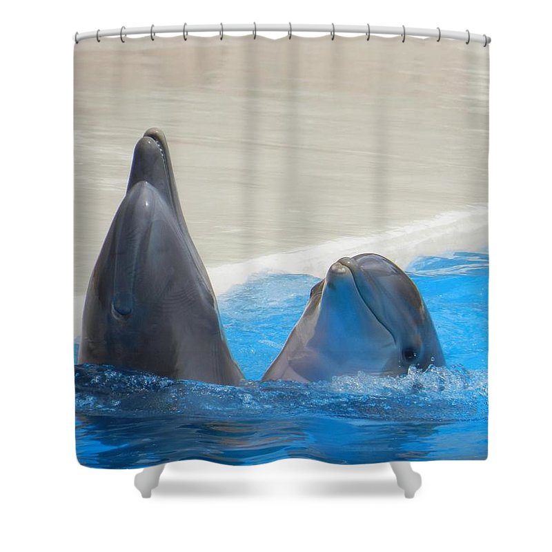 When Dolphins Dance - Shower Curtain