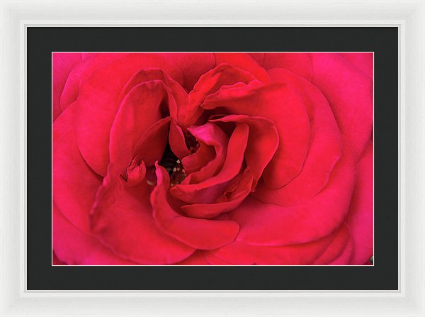 Whisper Of Passion - Framed Print