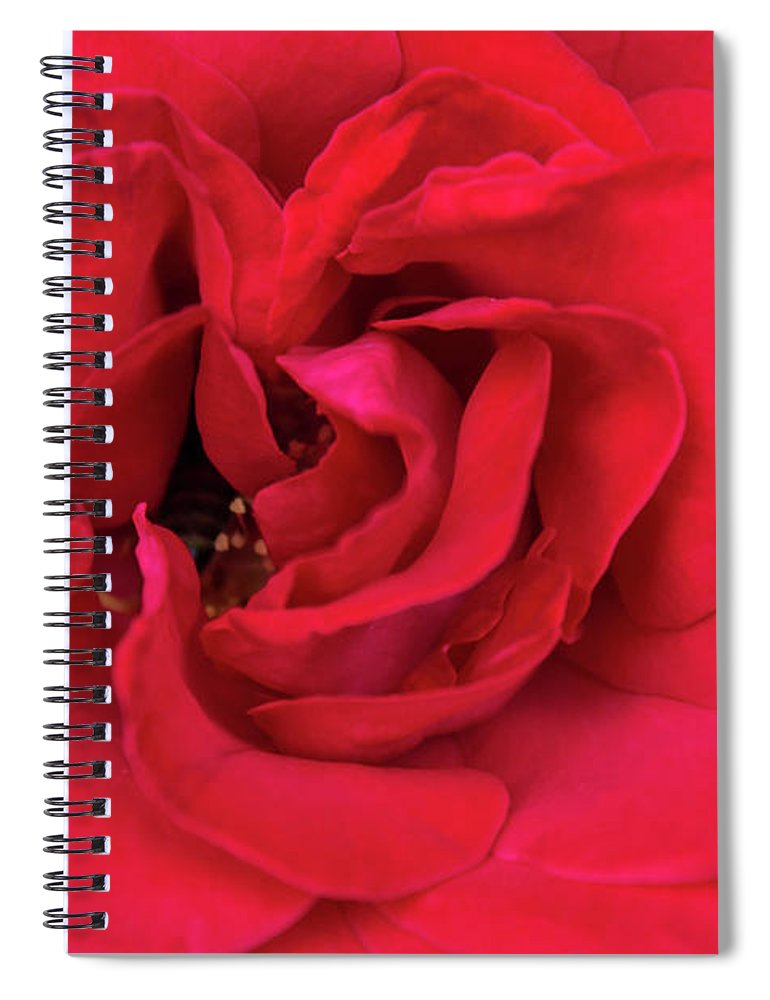 Whisper Of Passion - Spiral Notebook