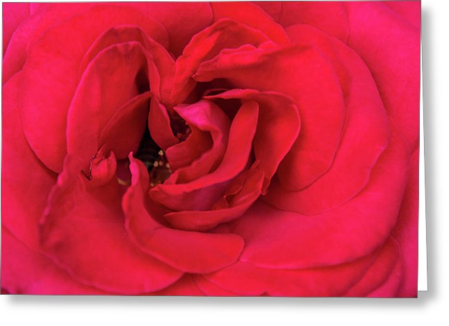Whisper Of Passion - Greeting Card