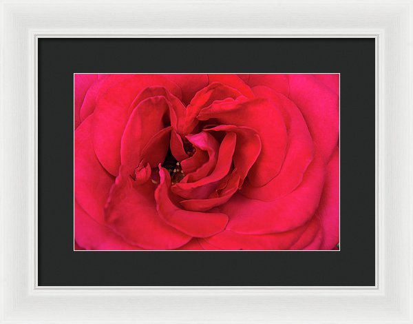 Whisper Of Passion - Framed Print