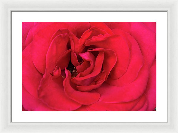 Whisper Of Passion - Framed Print