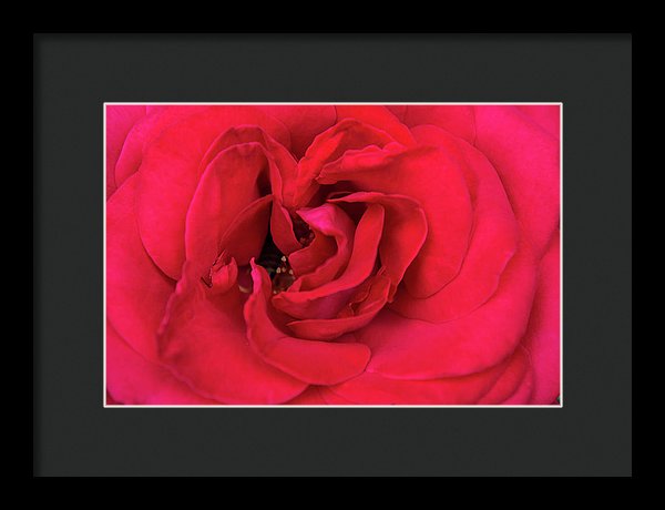 Whisper Of Passion - Framed Print