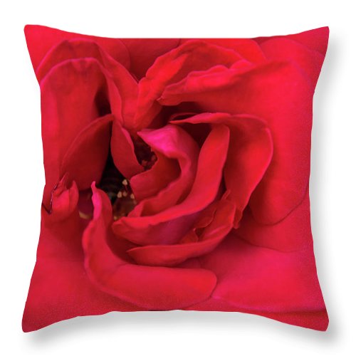 Whisper Of Passion - Throw Pillow