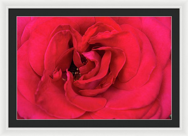 Whisper Of Passion - Framed Print