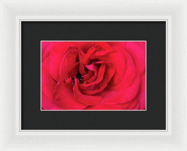 Whisper Of Passion - Framed Print