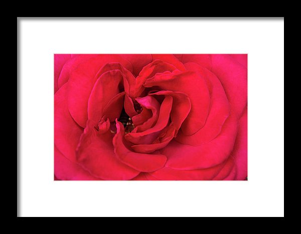 Whisper Of Passion - Framed Print