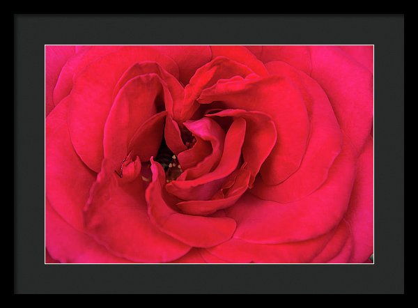 Whisper Of Passion - Framed Print