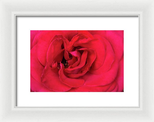 Whisper Of Passion - Framed Print