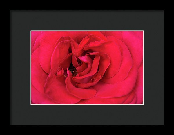 Whisper Of Passion - Framed Print