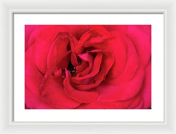 Whisper Of Passion - Framed Print