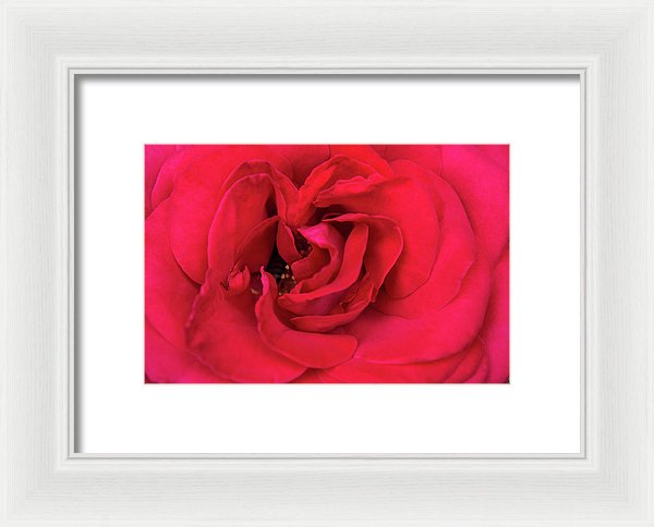 Whisper Of Passion - Framed Print