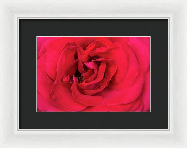 Whisper Of Passion - Framed Print