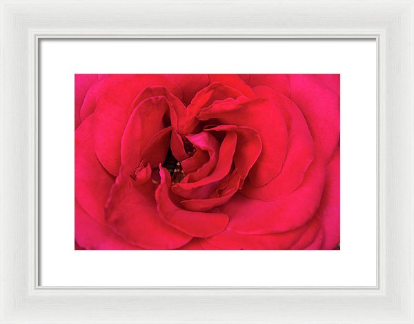 Whisper Of Passion - Framed Print