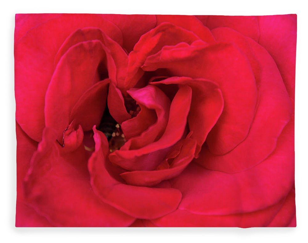 Whisper Of Passion - Blanket