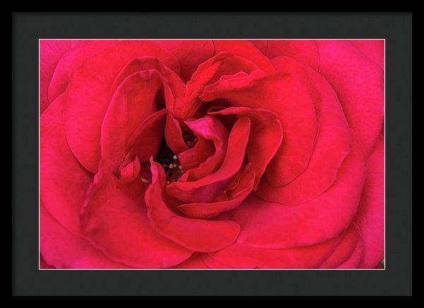 Whisper Of Passion - Framed Print