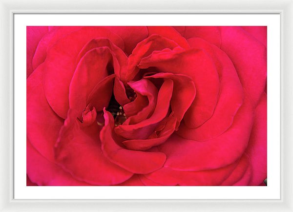 Whisper Of Passion - Framed Print