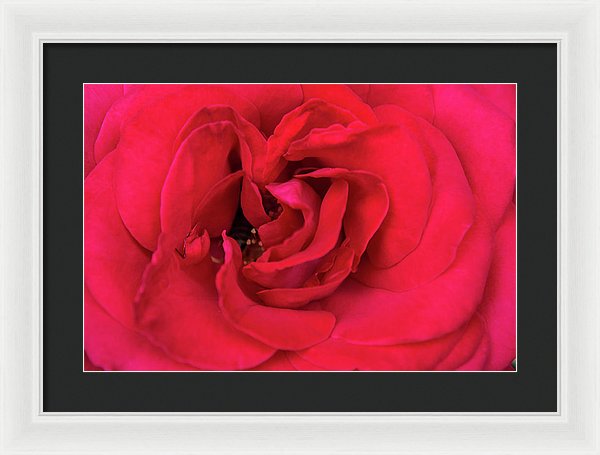 Whisper Of Passion - Framed Print