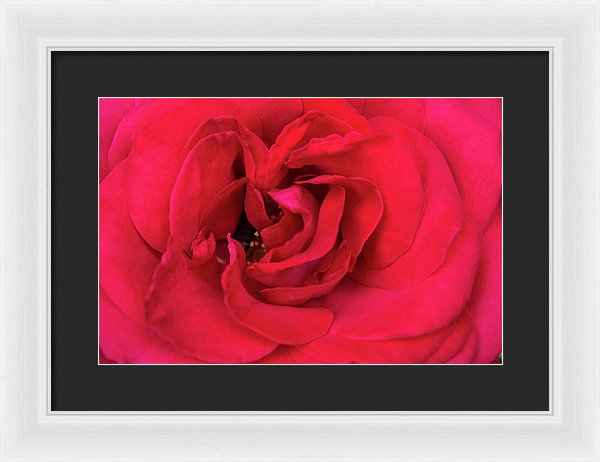 Whisper Of Passion - Framed Print