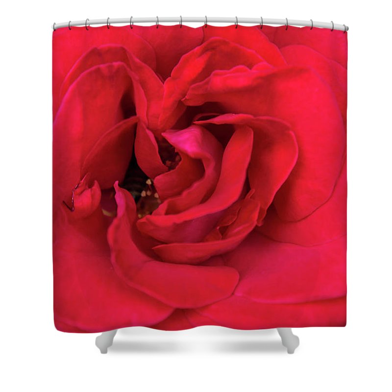 Whisper Of Passion - Shower Curtain